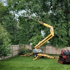 Best Organic Lawn Care Solutions  in Mineola, NY