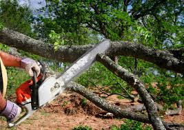 Best Weed Control  in Mineola, NY